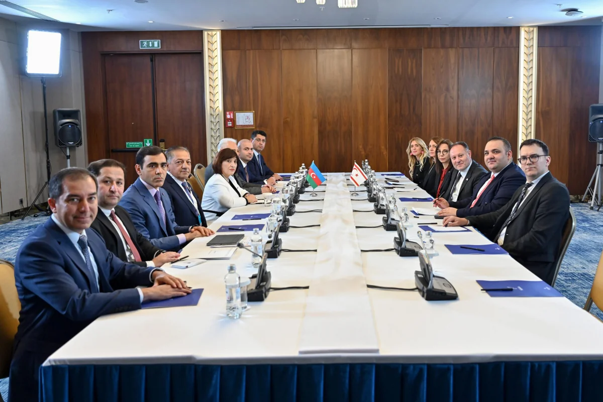 Sahibə Qafarova Astanada Şimali Kipr Türk Cümhuriyyəti Məclisinin sədri ilə görüşüb