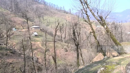 Astarada torpaq sürüşməsi olub, ailələr təhlükə ilə üzləşib