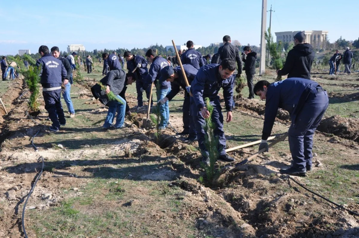 Hesablama Palatası BŞİH-nın Yaşıllaşdırma Təsərrüfatı Birliyini passiv fəaliyyətdə ittiham edir