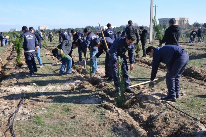 Hesablama Palatası BŞİH-nın Yaşıllaşdırma Təsərrüfatı Birliyini passiv fəaliyyətdə ittiham edir