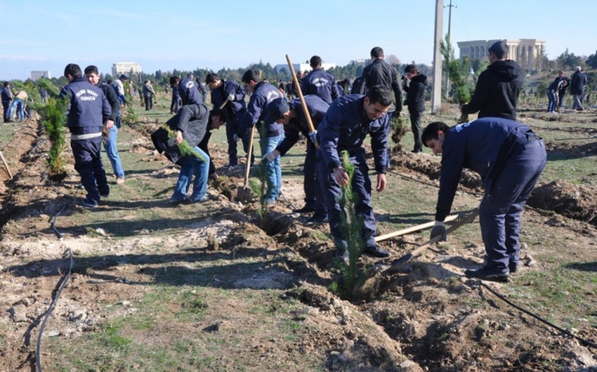 Hesablama Palatası BŞİH-nın Yaşıllaşdırma Təsərrüfatı Birliyini passiv fəaliyyətdə ittiham edir