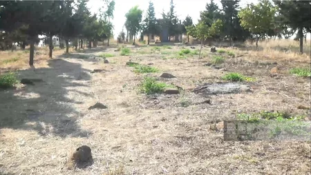 Cəlilabadda kənd qəbiristanlığının tarixi hissəsi mədəniyyət abidələrinin reyestrinə daxil ediləcək