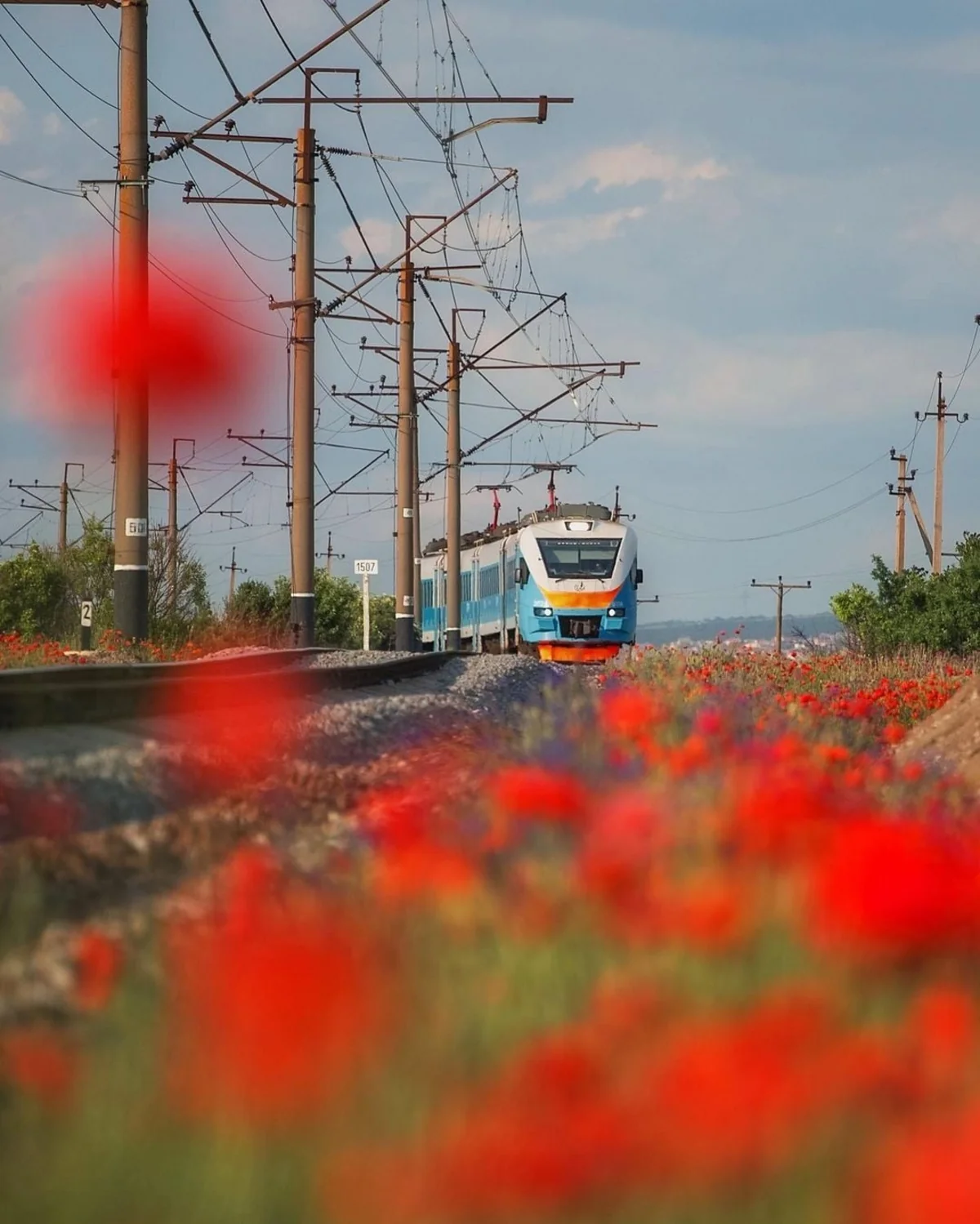 Şəmkirdə qatar 22 yaşlı gənc oğlanı vuraraq öldürüb