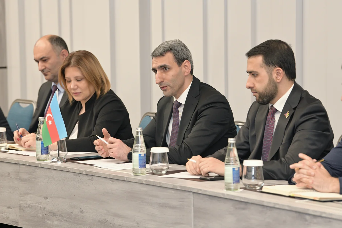 Fransız şirkətləri Azərbaycandakı nəqliyyat, kosmik sənaye sahəsində layihələrə maraq göstərir