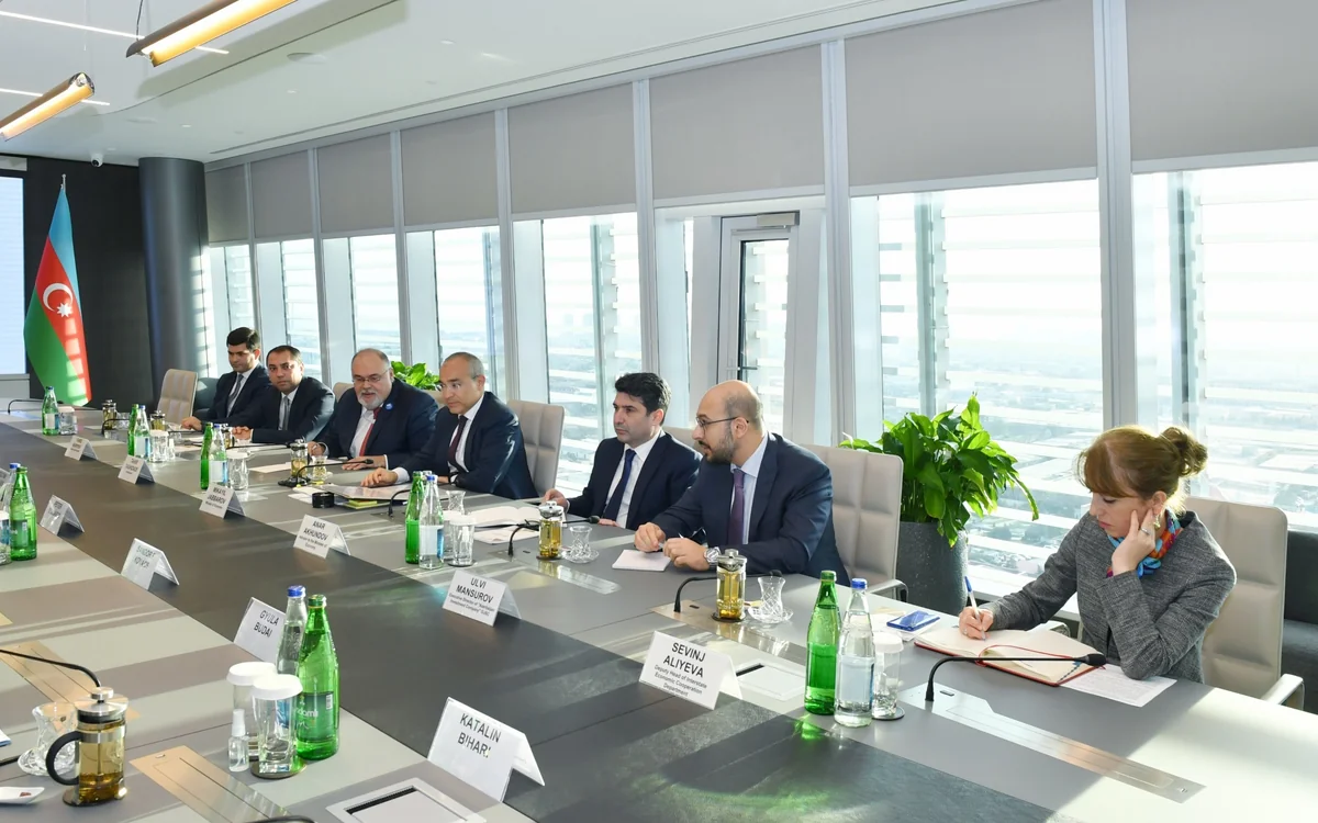 Azerbaijan, Hungary discuss economic relations 