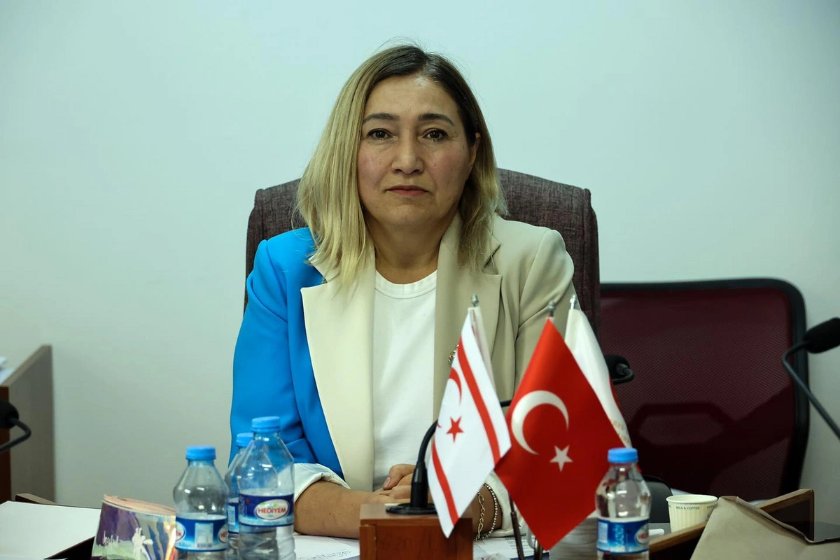 Şimali Kipr nümayəndəsi türk dövlətlərinə müraciət edib