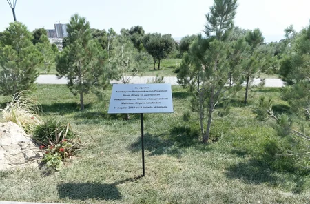 President, First Lady attend opening of new park in Baku