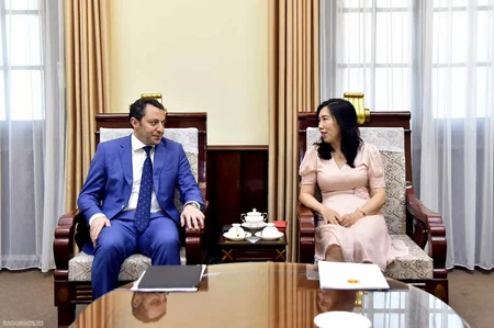 Azerbaijan, Vietnam discuss political-economic collaboration