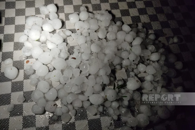 Qaxa güclü dolu düşüb, meyvə ağaclarına və təsərrüfatlara ziyan dəyib