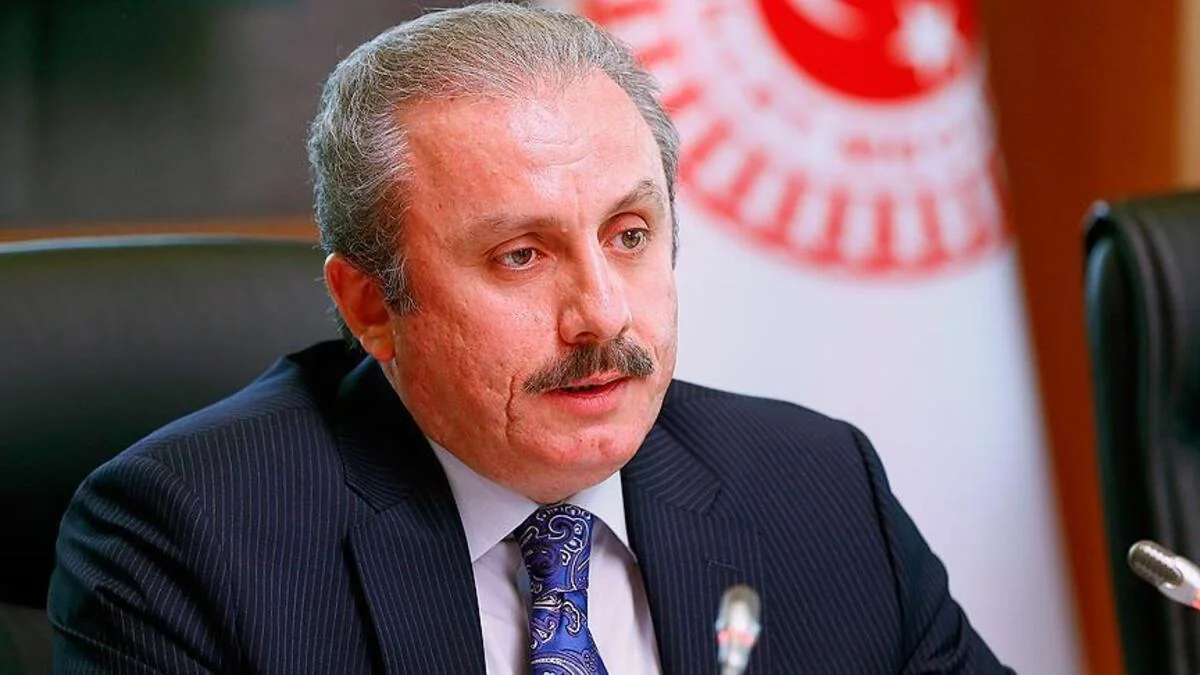 Türkiyə parlamentinin sədri Gürcüstana rəsmi səfər edəcək