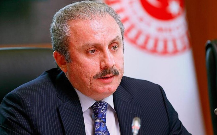 Türkiyə parlamentinin sədri Gürcüstana rəsmi səfər edəcək