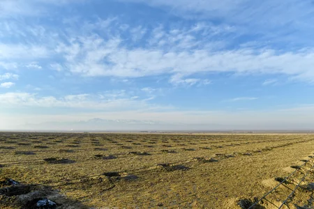 В Евлахском пилотном агропарке будут обеспечены работой 1 500 человек