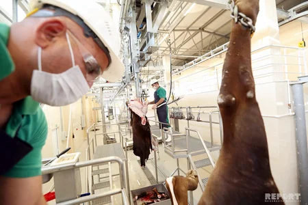 İran halal ət kəsimini Azərbaycan şirkətinə etibar edib - VİDEO