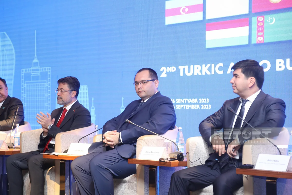 Məcnun Məmmədov türk iş adamlarına Ələt İqtisadi Zonası ilə bağlı çağırış edib