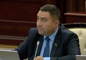 Deputat: Azərbaycanda selektiv abortlar qismən azalıb