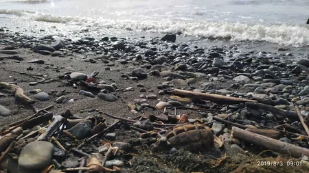 Lənkəranda bir ədəd əl qumbarası tapılıb