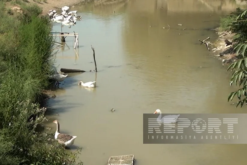 Biləsuvarın Zəhmətabad kəndində içməli su problemi yaşanır