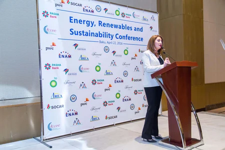 ​AmCham rəhbərliyi SOCAR CNG ilə görüş keçirib