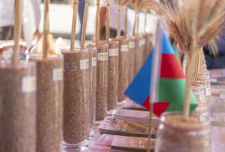 В Джалилабаде прошла выставка-ярмарка семян