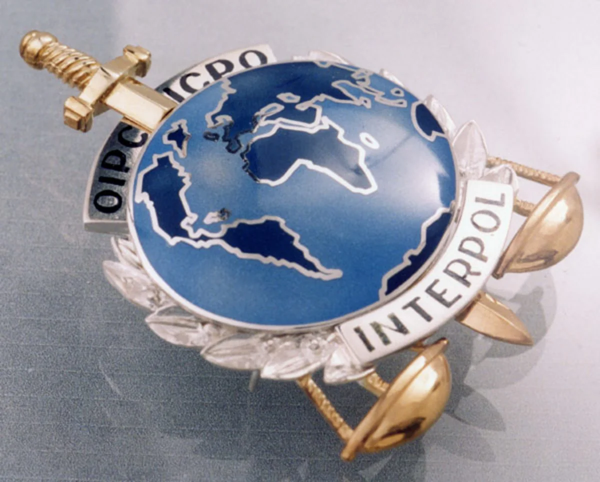 Интерпол задержал бывшего замкомандующего ВМС Грузии