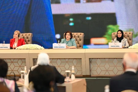 Sahibə Qafarova qadın parlament sədrlərini minalarla bağlı məsələyə diqqət yetirməyə çağırıb