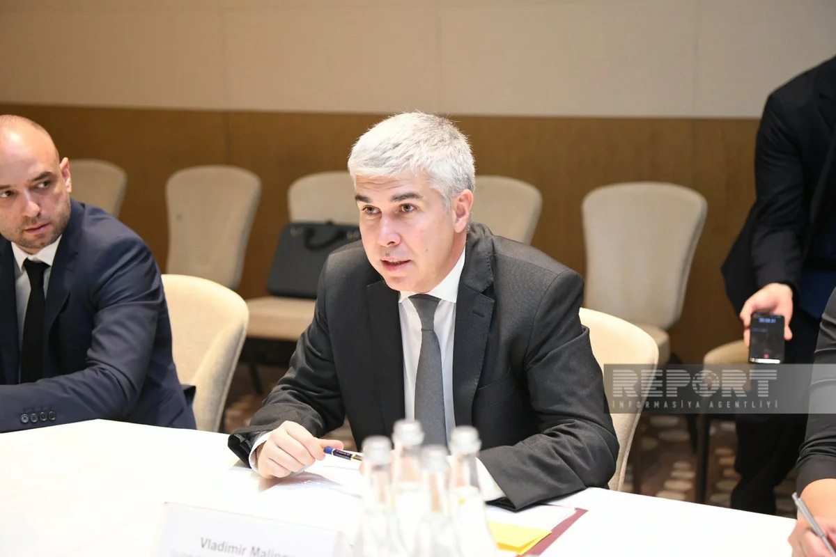 Nazir: “Bolqarıstan Azərbaycandan “yaşıl enerji”nin ixracında mühüm rol oynayacaq”