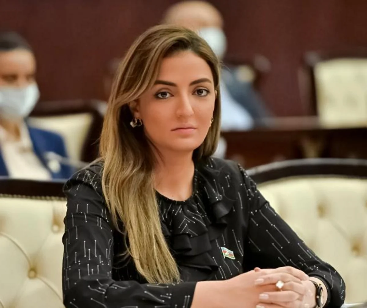 Beynəlxalq təşkilatlar Ermənistanın işğal siyasəti ilə bağlı məlumatlandırılıb