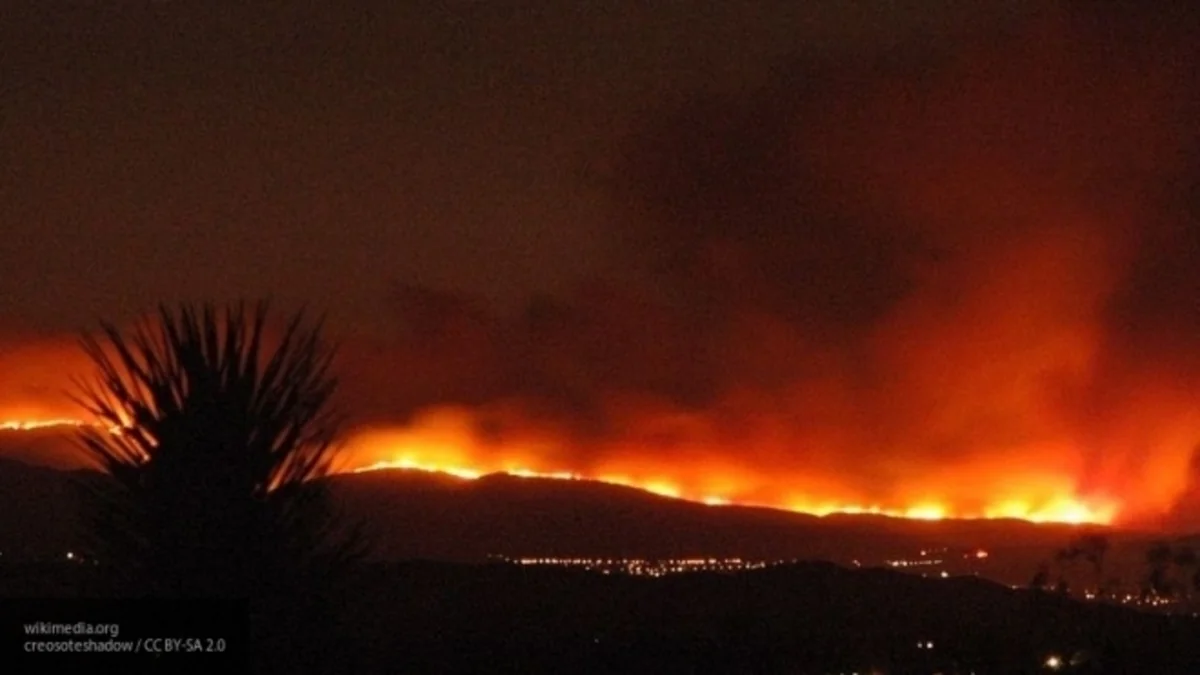 Los Angeles residents evacuated due to forest fires