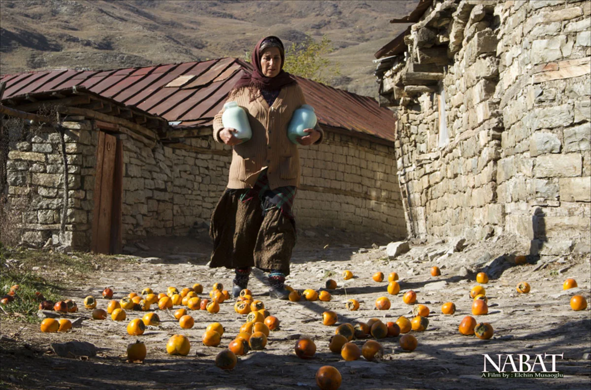 Nabat film wins award in Iran