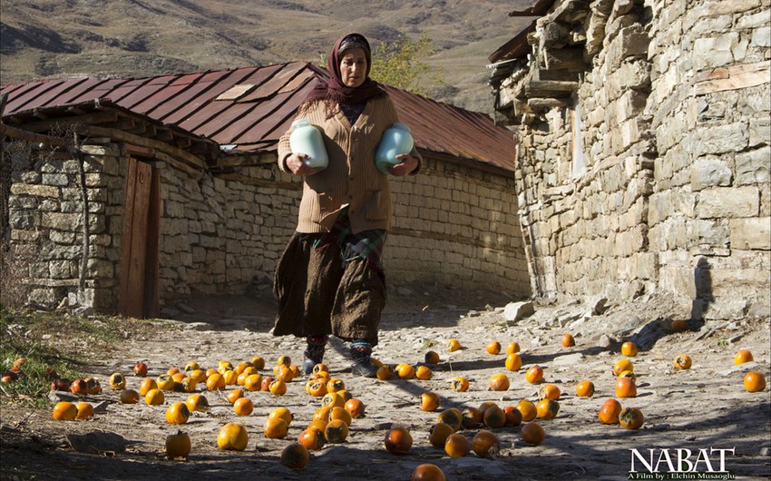 Nabat filmi İranda mükafat qazanıb