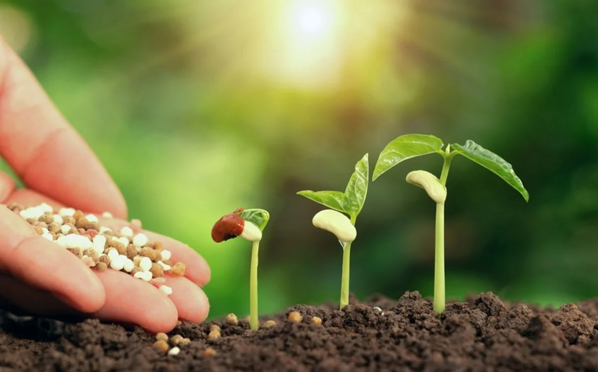 Dünyada gübrənin bahalaşması Azərbaycana necə təsir edir?