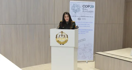 Penitensiar Xidmətdə COP29 ilə bağlı seminar keçirilib