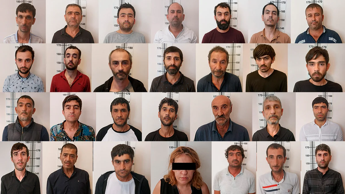 Bakıda çətənə kollarının kultivasiyası ilə məşğul olan şəxslər saxlanılıb