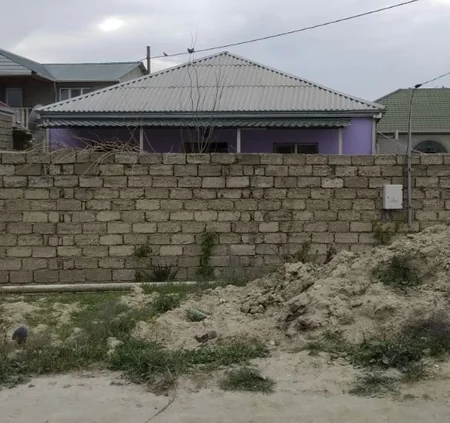 Asan qazanc hərisliyi COVID-19-dan daha yaşlı və qorxuludur - ARAŞDIRMA