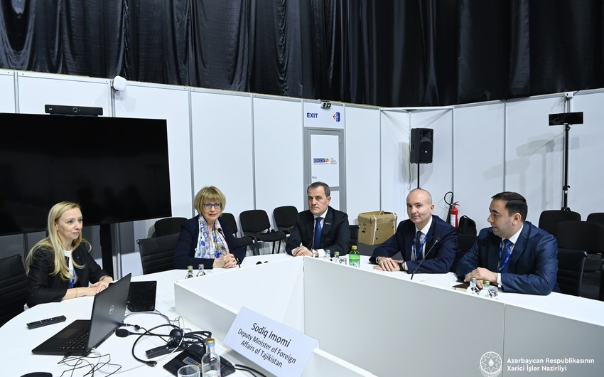 Джейхун Байрамов заявил генсеку ОБСЕ о неприемлемости избирательного подхода к принципам восстановления суверенитета