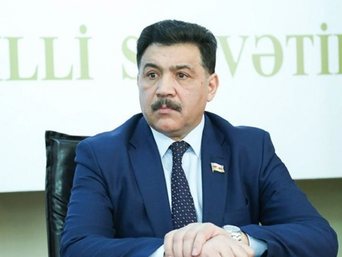 Millət vəkili: “Yanacaq və digər enerji daşıyıcılarının qiymətləri ilə bağlı çıxışlar populist xarakterlidir”