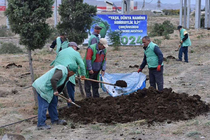 “Yaşıl dünya naminə həmrəylik ili” münasibətilə Bakı-Quba yoluna 300 000 ağacın əkilməsi planlaşdırılıb