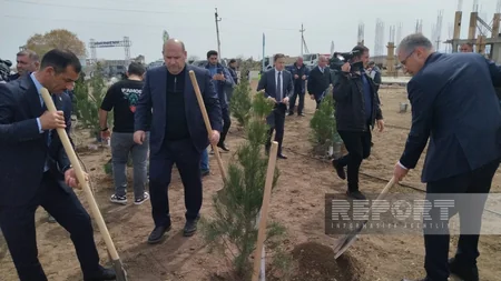 Heydər Əliyevin 100 illik yubileyi ilə əlaqədar Ağdamda ağacəkmə aksiyası keçirilib