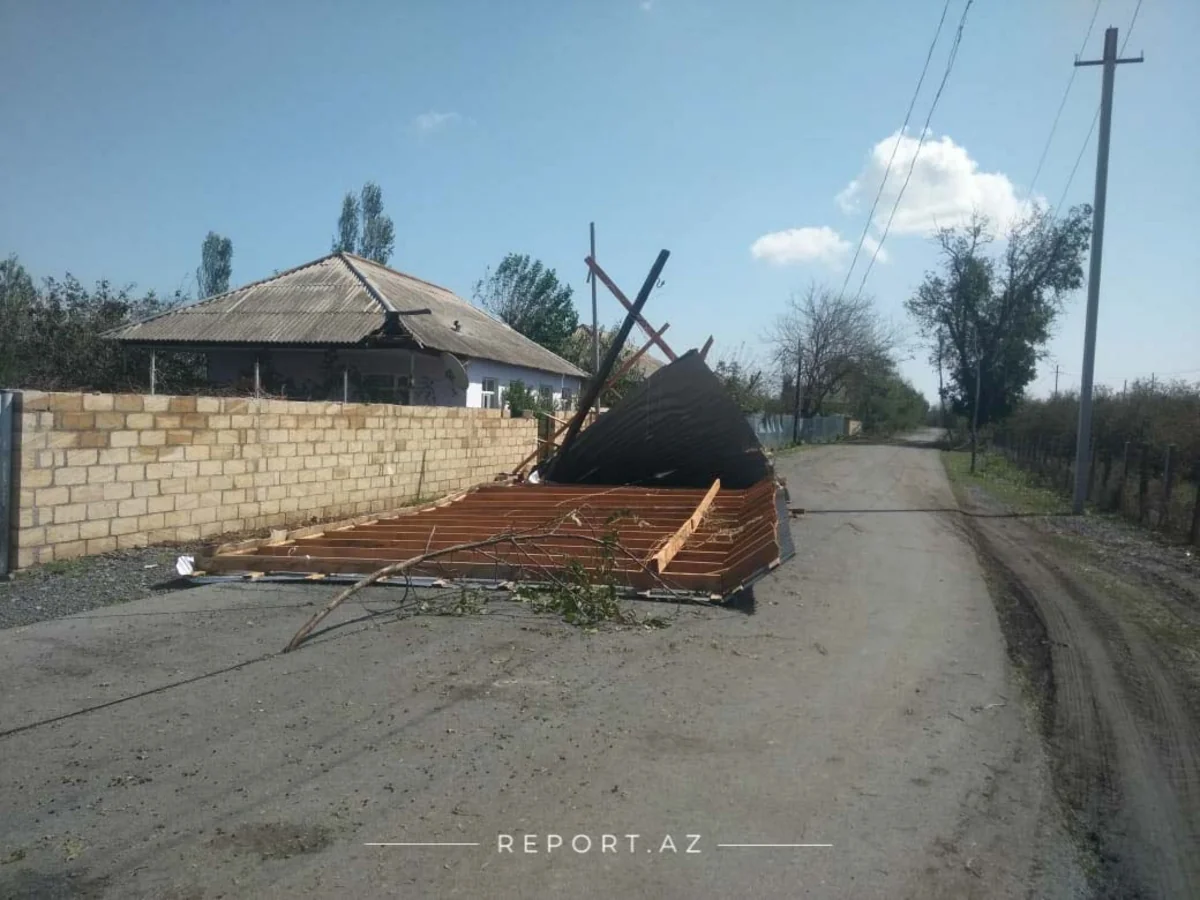 Güclü külək Zaqatalada 7 kəndə ciddi ziyan vurub