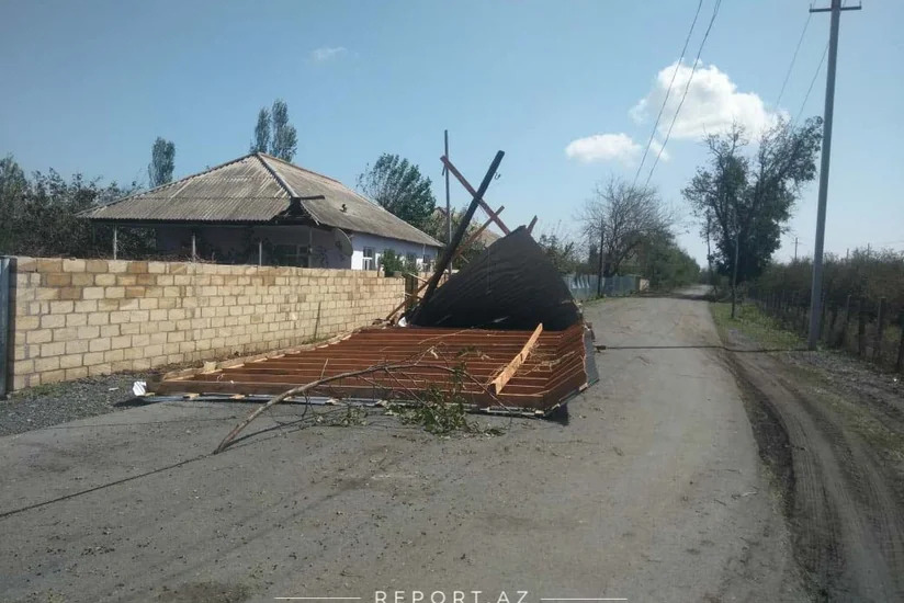 Güclü külək Zaqatalada 7 kəndə ciddi ziyan vurub