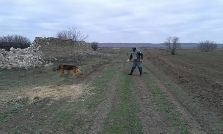 Cocuq Mərcanlıda 873 ədəd qəlpə aşkar edilib