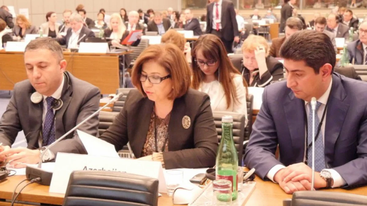 ​Bahar Muradova Ermənistan nümayəndəsinə: Siz əli uşaqların qanına batmış prezidenti dəstəkləyirsiniz