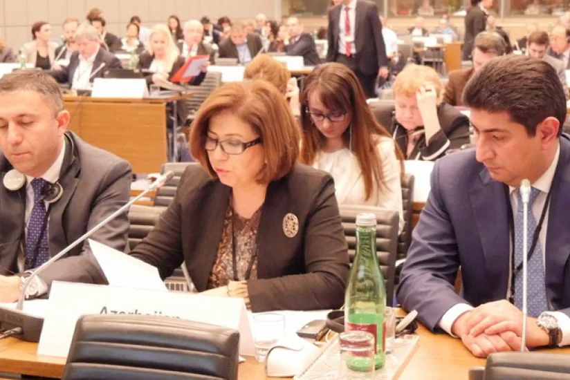 ​Bahar Muradova Ermənistan nümayəndəsinə: Siz əli uşaqların qanına batmış prezidenti dəstəkləyirsiniz