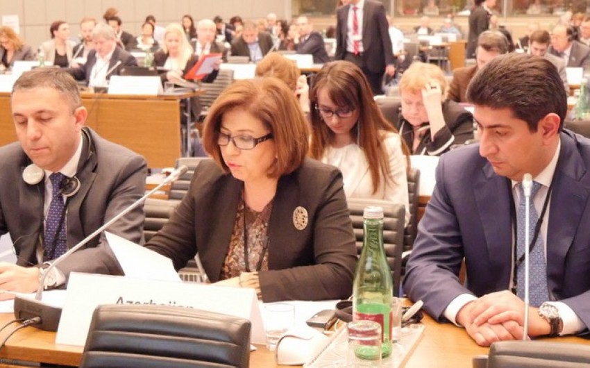 ​Bahar Muradova Ermənistan nümayəndəsinə: Siz əli uşaqların qanına batmış prezidenti dəstəkləyirsiniz