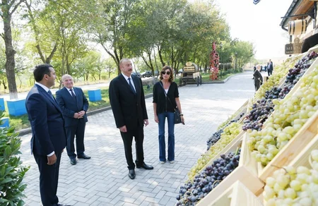 Şamaxıda “Şirvan şərabları” MMC-nin üzümçülük və şərabçılıq kompleksinin açılışı olub