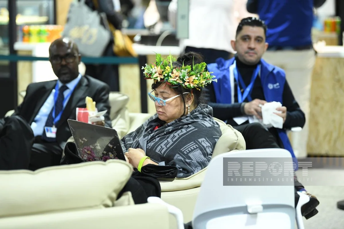 COP29-un ikinci günündən – FOTOREPORTAJ 