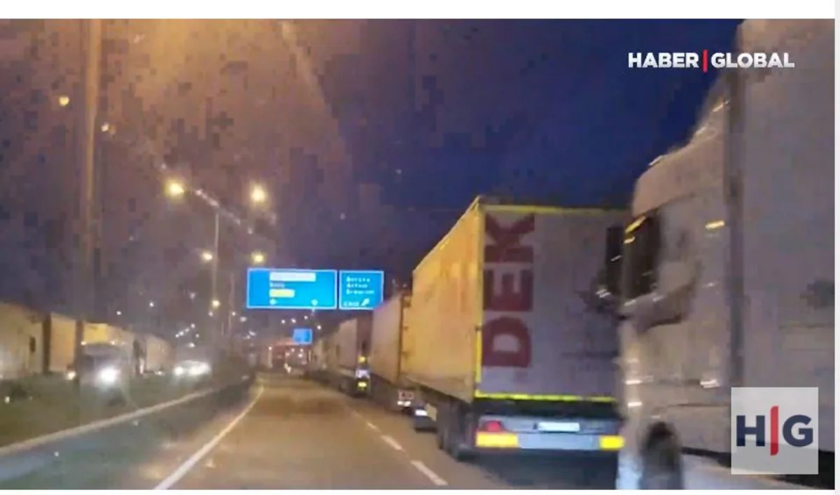Trucks form 10-km long queue on Turkiye-Georgia border