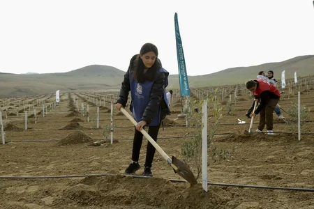 Azərbaycanda Türk Dövlətləri Milli Ağaclandırma Günü münasibətilə 111 min 111 ağac əkilib