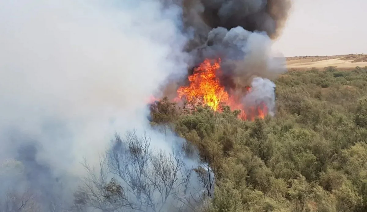 İsraildə meşə yanğınları başlayıb