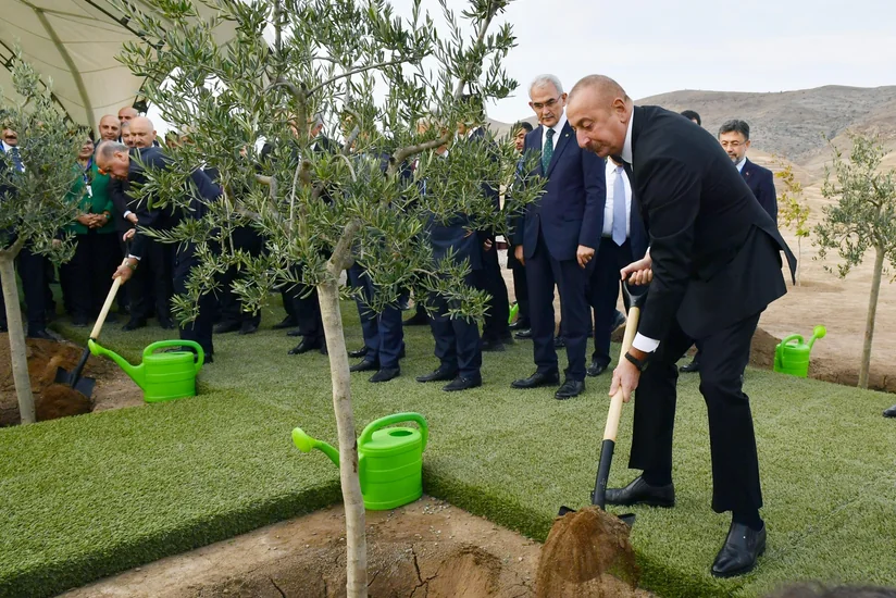 Presidents of Azerbaijan and Turkiye plant trees in Jabrayil
